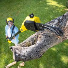 Best Sod Installation  in Redland, AL