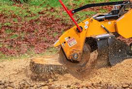 Best Tree Risk Assessment  in Redland, AL