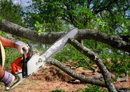 Best Lawn Maintenance Plans  in Redland, AL