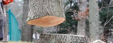 Best Tree Preservation Services  in Redland, AL