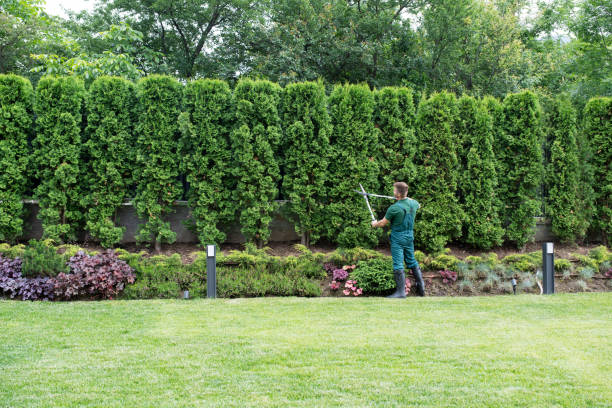 Best Lawn Pest Prevention  in Redland, AL