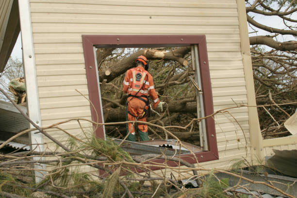 How Our Tree Care Process Works  in  Redland, AL